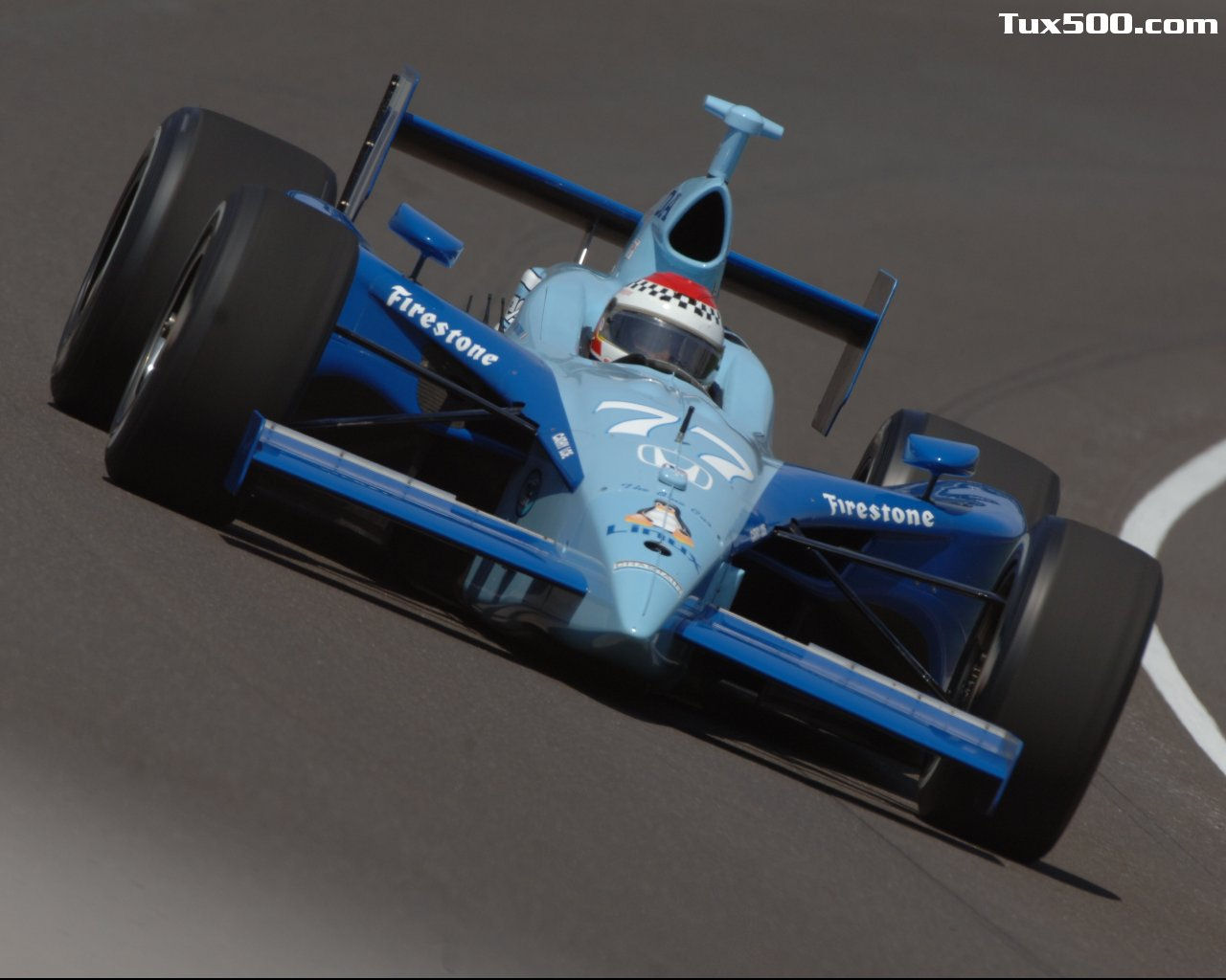 indy (11).jpg