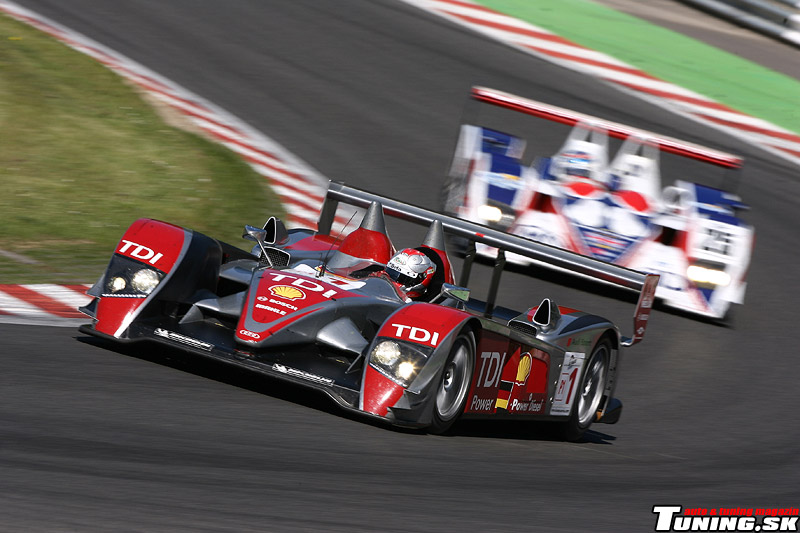 LE-MANS-2008-1.jpg